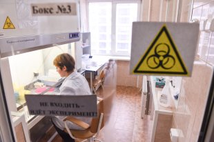 Новосибирские ученые начали расшифровку генома коронавируса. «Минздрав»