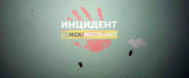 Пациентка омской больницы пожаловалась тараканов, бегающих по стенам. «Минздрав»