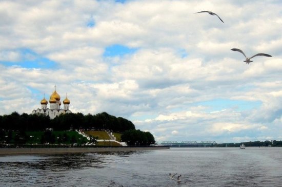 В Ярославской области усилили профилактические меры для приезжих. «Госдума»