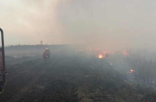 В Забайкалье заявили, что пожар охватил земли Минобороны России. «Минобороны»