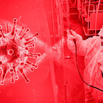 Пандемия в цифрах и фактах. Бюллетень коронавируса на 19:00 17 мая. «Минздрав»
