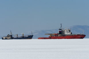 Появились фото эскадры НАТО в Баренцевом море. «Совет Федерации»