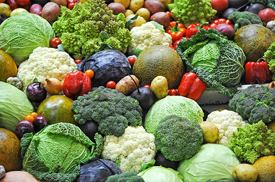 Учёным предстоит выяснить, как продукты с ГМО влияют на заражаемость COVID-19. «Совет Федерации»