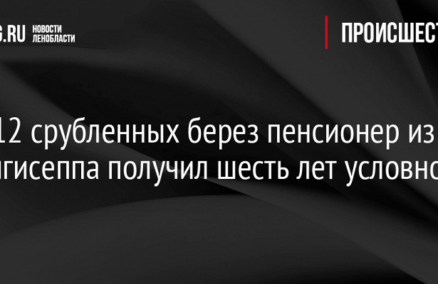 За 12 срубленных берез пенсионер из Кингисеппа получил шесть лет условно. «Минобороны»