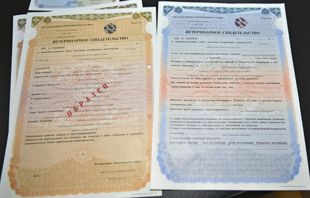 Изменен порядок оформления ветеринарных сопроводительных документов. «Минюст»