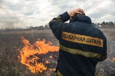 Военные и.гражданские лесники в.Подмосковье будут противостоять пожарам сообща&nbsp «Минобороны»