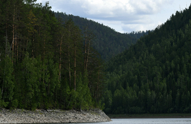 Лесной отрасли готовят новые меры поддержки&nbsp «Минюст»