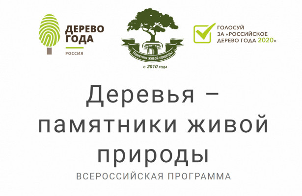 Программа «Деревья.— памятники живой Природы» проходит в.Балашихе&nbsp «Совет Федерации»