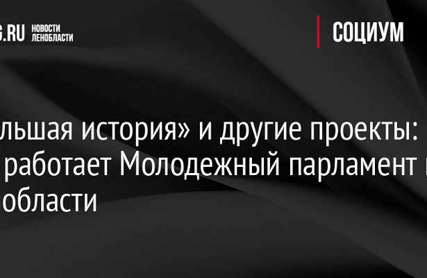 «Большая история» и.другие проекты: как.работает Молодежный парламент в.Ленобласти&nbsp «Совет Федерации»